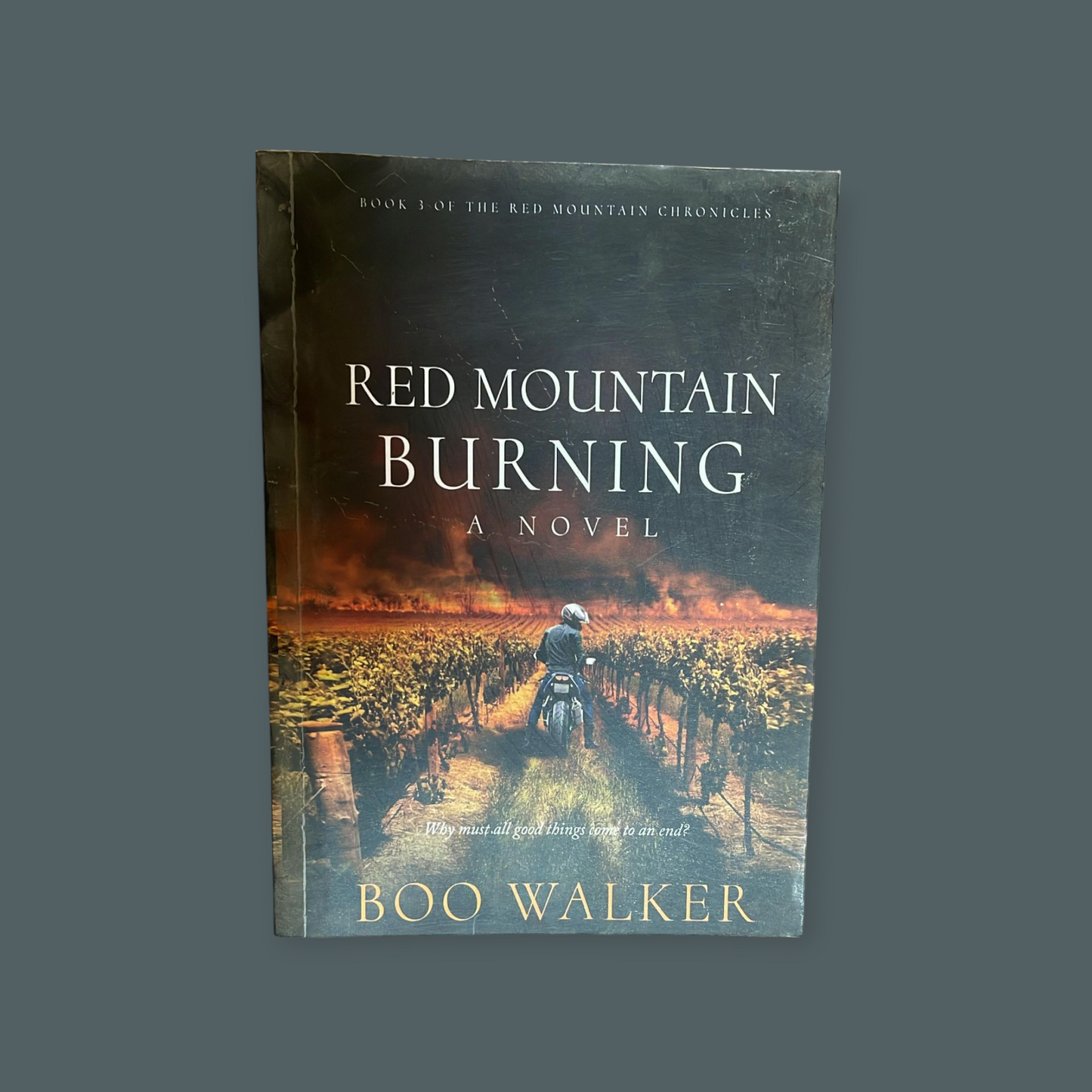 Red Mountain Burning Book by Boo Walker