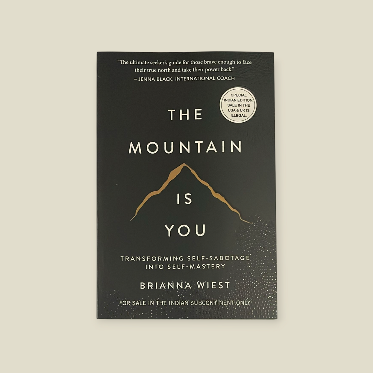 The Mountain Is You: Transforming Self-Sabotage Into Self-Mastery Book by Brianna Wiest