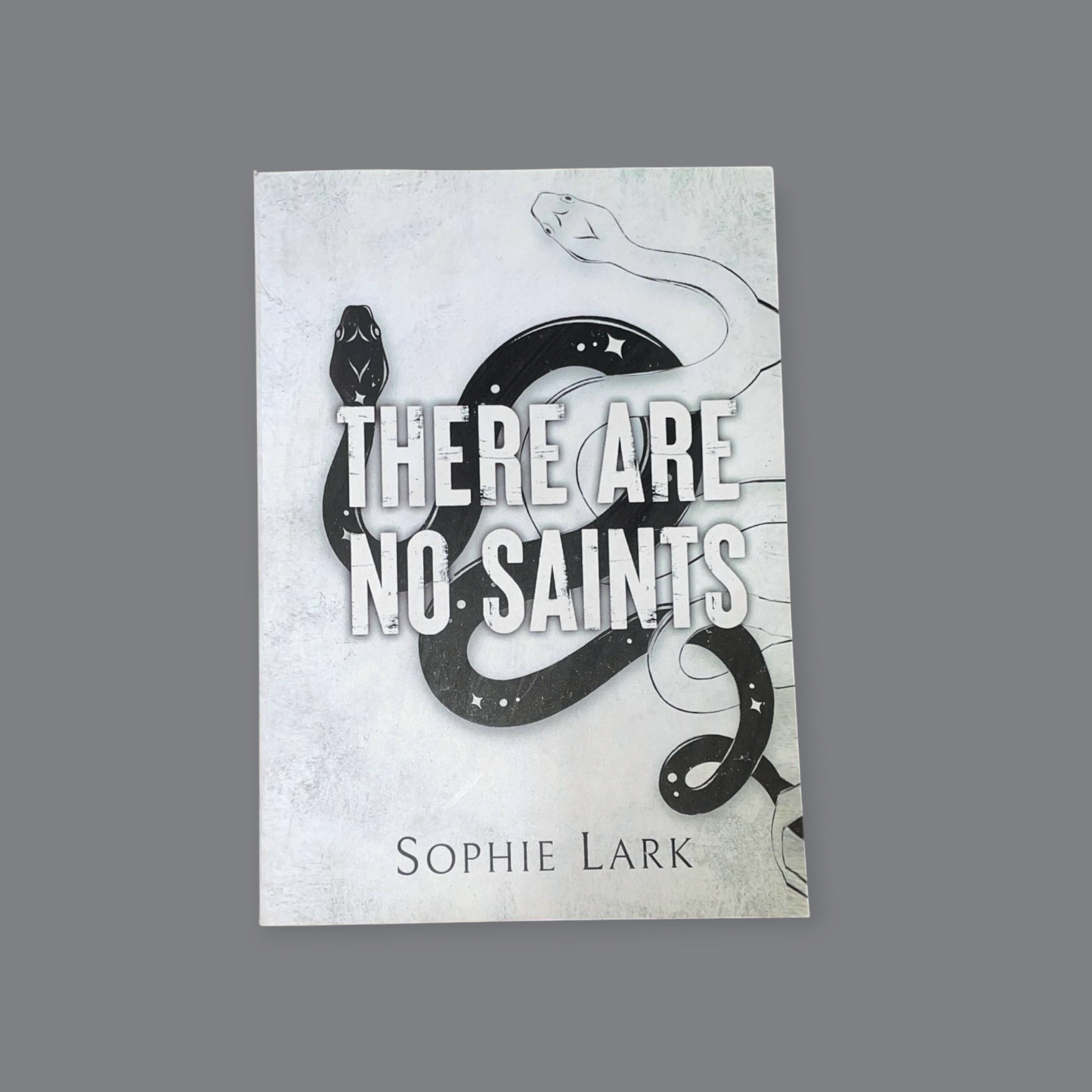There are No Saints Book by Sophie Lark