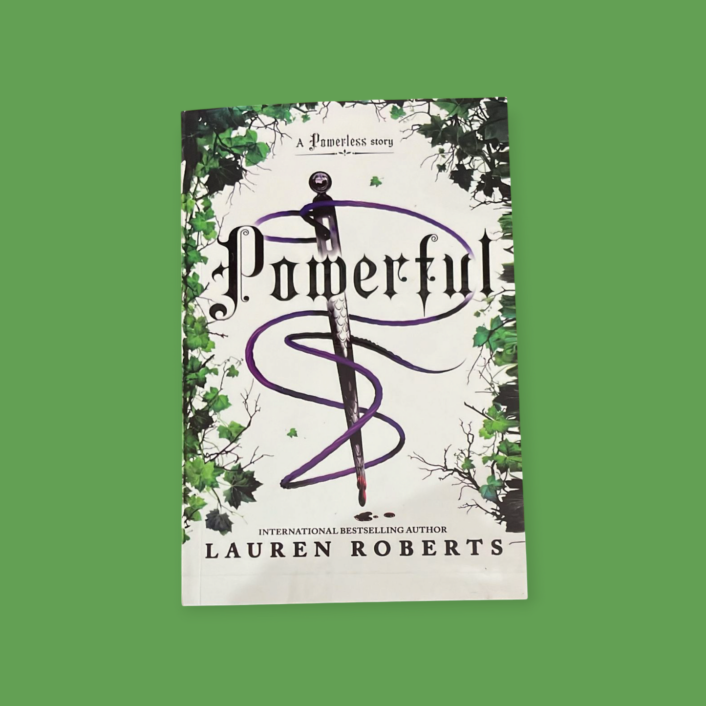 Powerful Book by Lauren Roberts