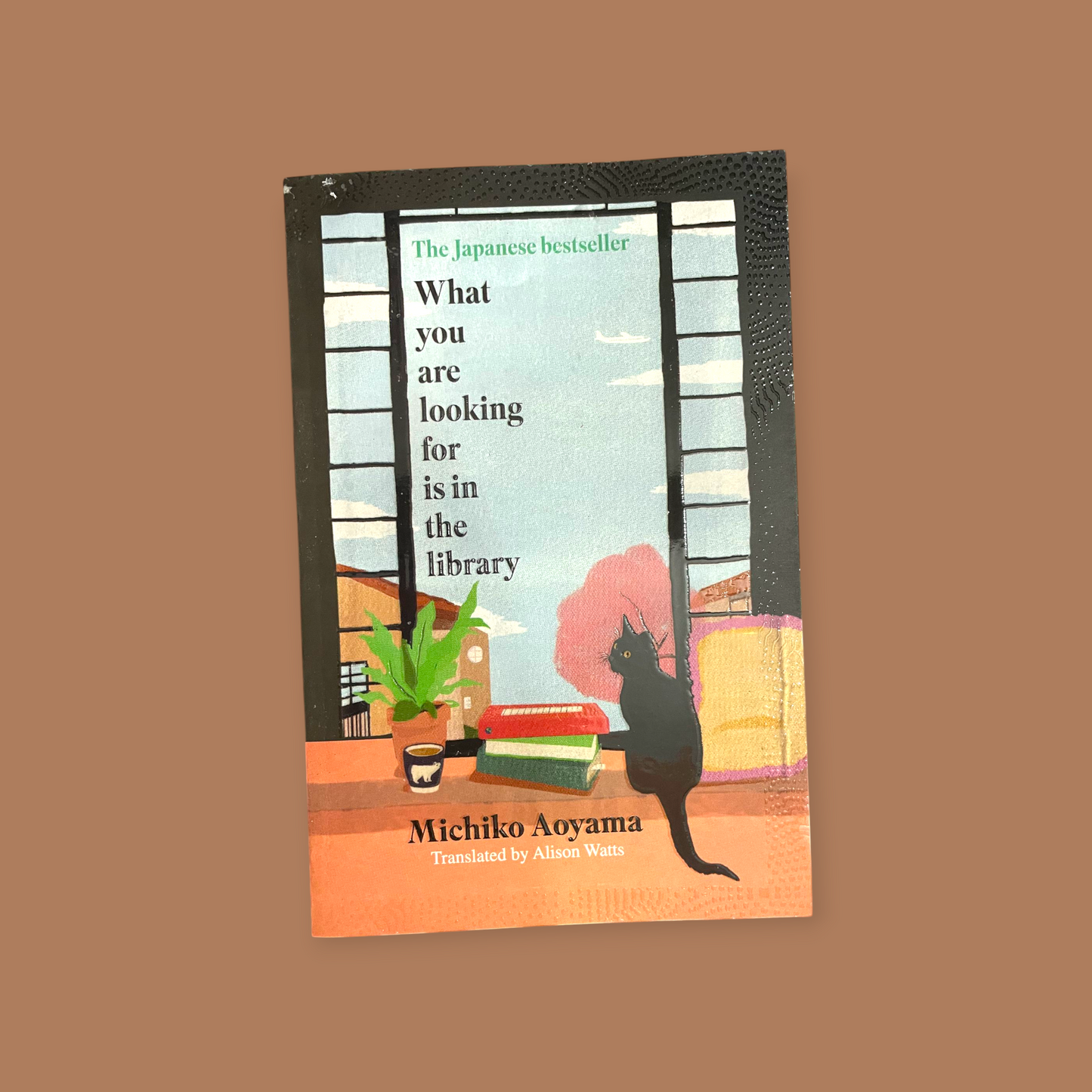 What You Are Looking for is in the Library (English, Paperback, Aoyama Michiko)