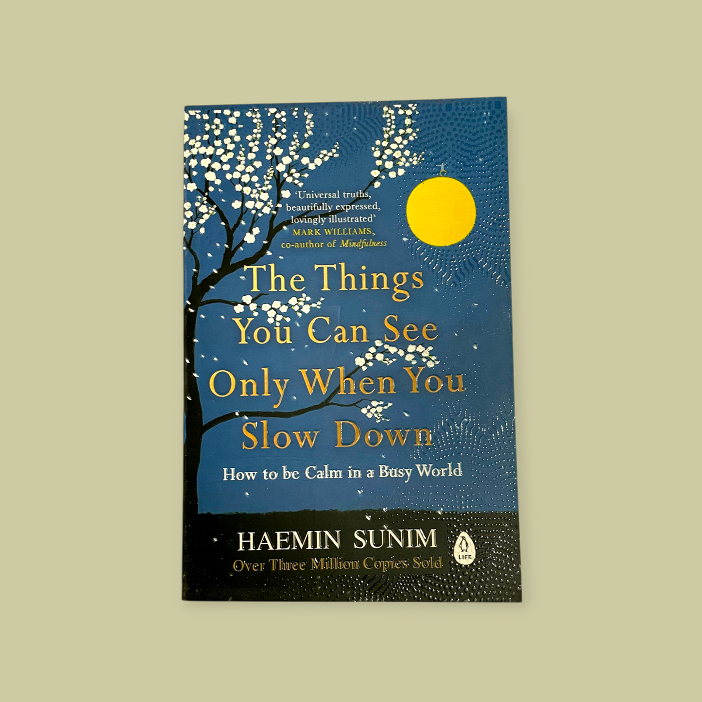 The Things You Can See Only When You Slow Down (English, Paperback, Sunim Haemin)