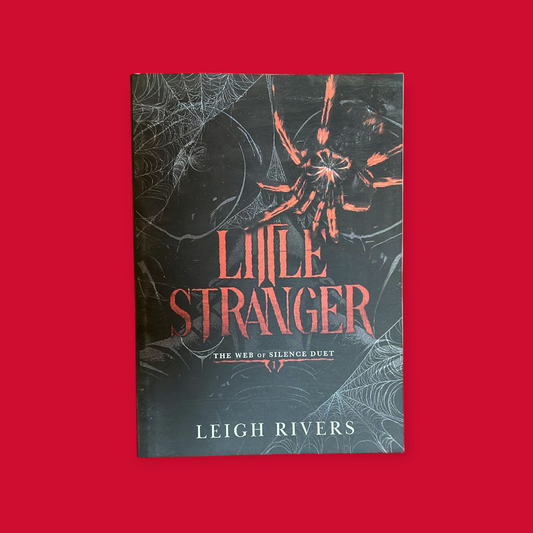 Little Stranger Novel by Leigh Rivers