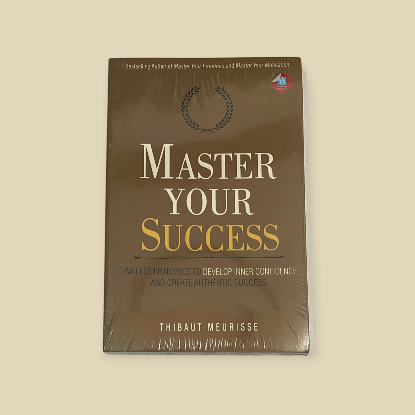 Master Your Success by Thibaut Meurisse