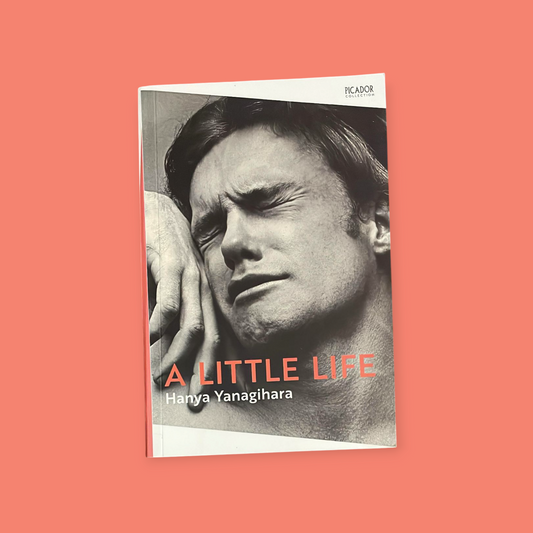 A Little Life Novel by Hanya Yanagihara