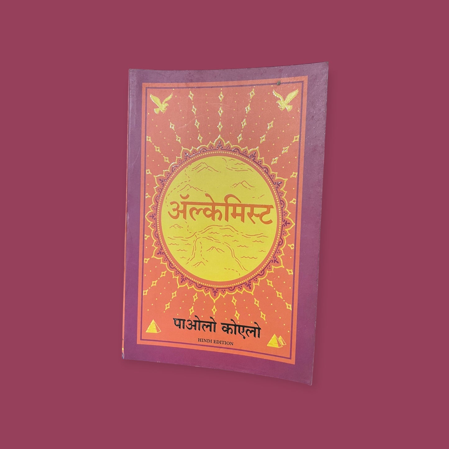 Alchemist (Hindi) Paperback